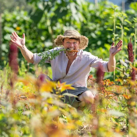 Landerermuehle Inn *