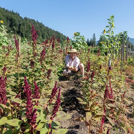 Landerermuehle * Lenggries